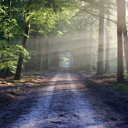 Western Du Parc Hotel